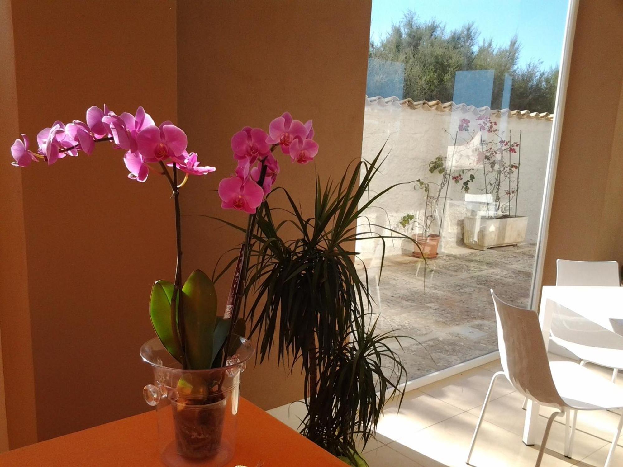 Suitebeach B&B And Resort Marsala Dış mekan fotoğraf